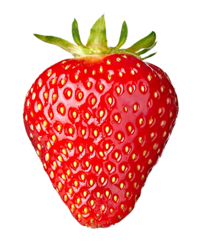 strawb-big-single-v02